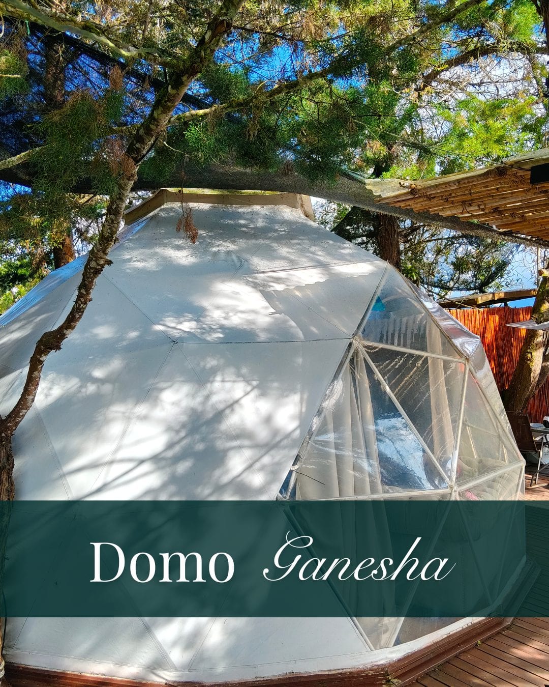 Domo